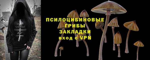 прущий лед Алзамай