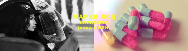 прущий лед Алзамай
