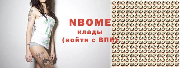 прущий лед Алзамай