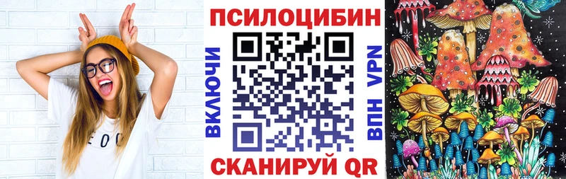 Галлюциногенные грибы GOLDEN TEACHER  где купить наркоту  Анадырь 